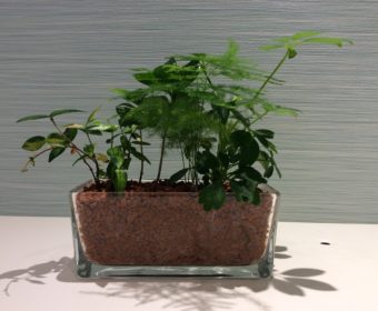 院内紹介～待合室編～