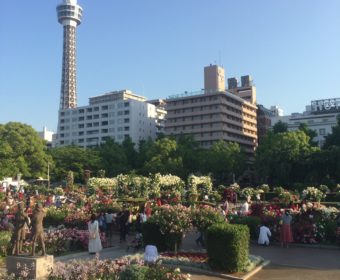 歯周病学会に参加してきました。その3